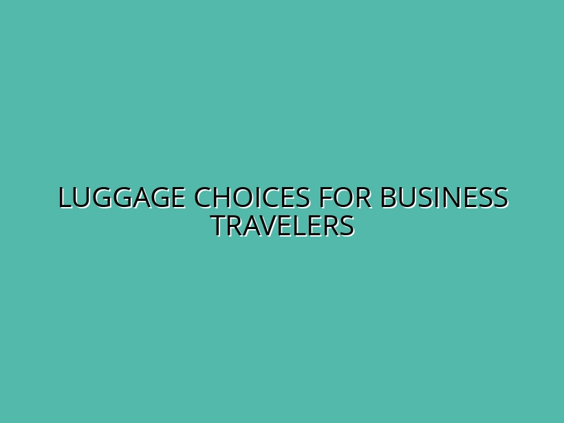 Best Luggage Options for Business Professionals in 2025
