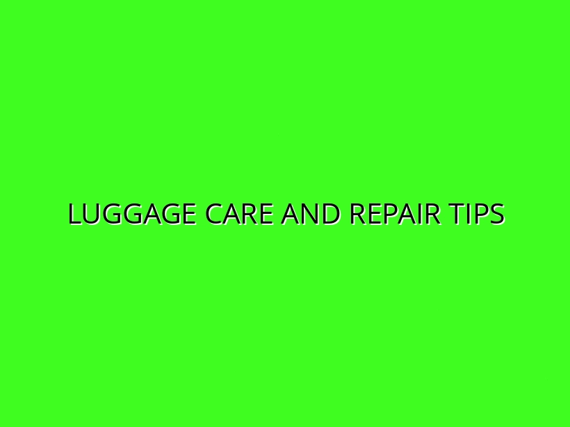 How to Maintain and Repair Your Luggage for Longevity